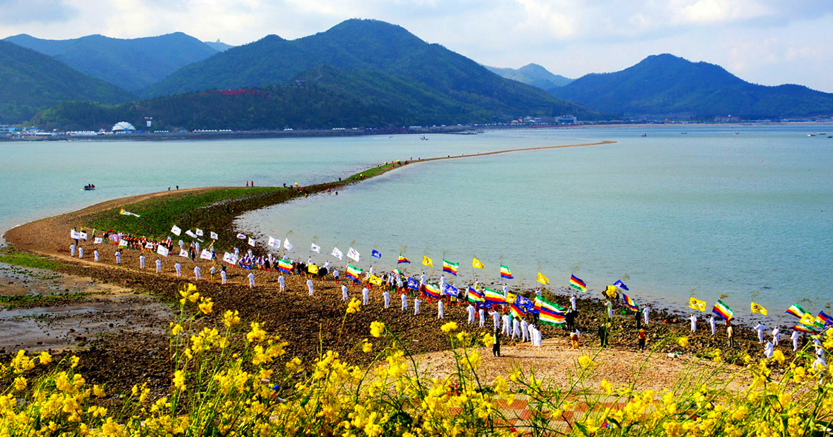 Jindo Sea Parting Festival 2020 One Day Tour - Trazy ...