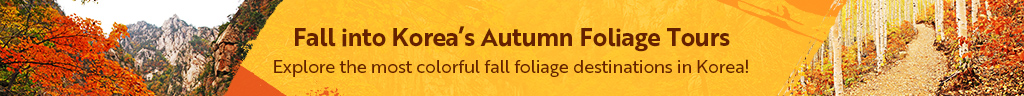 Fall into Korea's Autumn Foliage Tours
