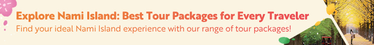Nami Island Tour Packages