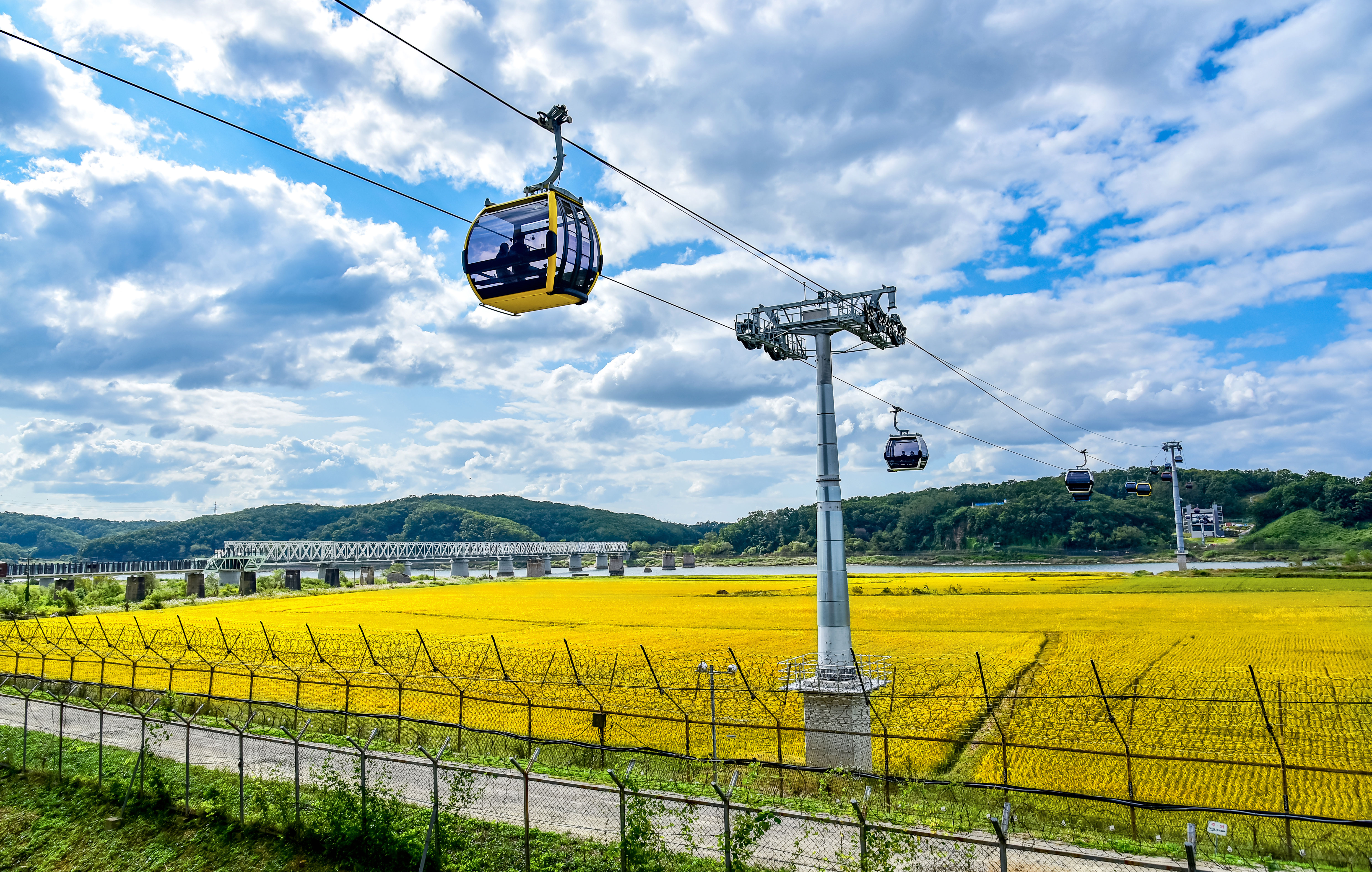 Top-Rated DMZ Tours from Seoul – A Journey Through History