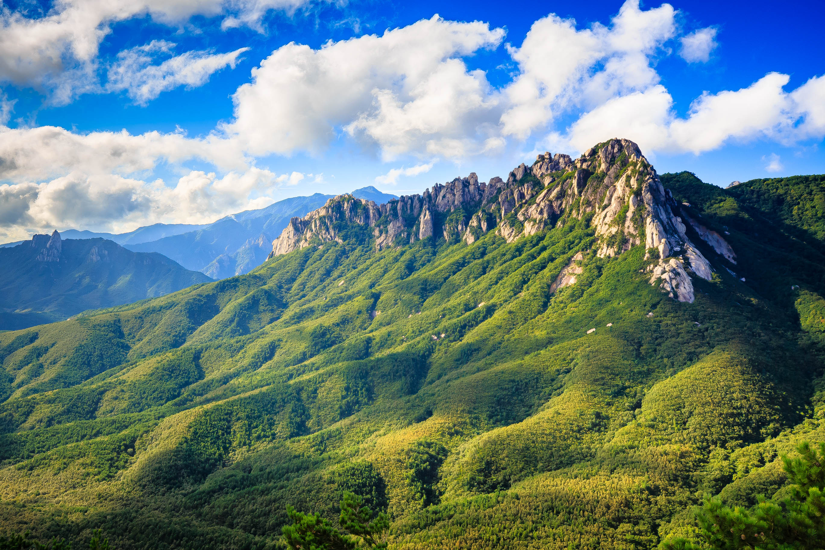 Escape to Nature: Seoraksan National Park Guided Tours