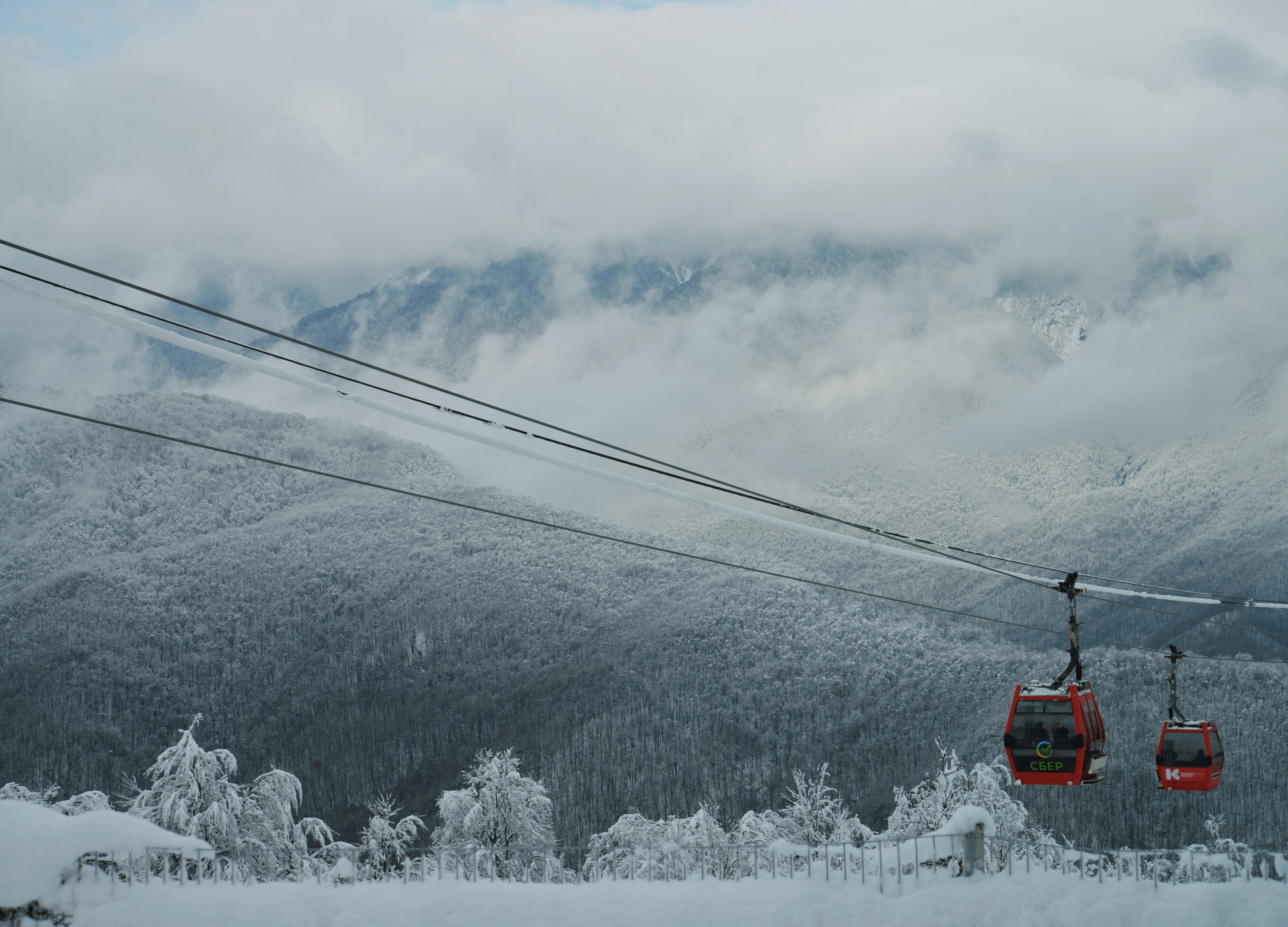 Best Ski Resorts near Osaka for 2025 Winter Adventures