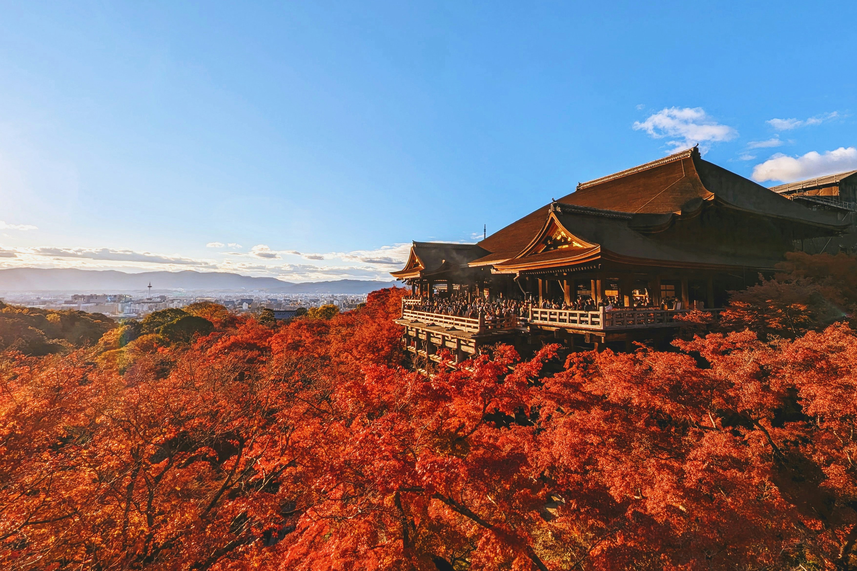 Discover Japan's Fall Beauty: Top 2025 Autumn Foliage Tours