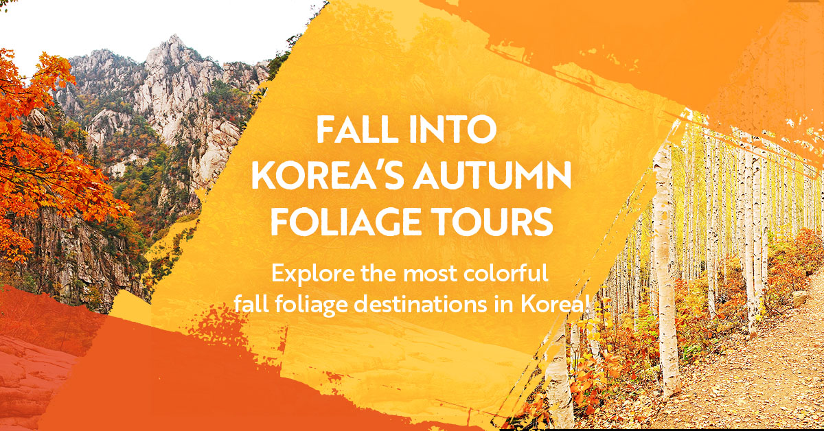 2024 Autumn/Fall Foliage Tours in Korea