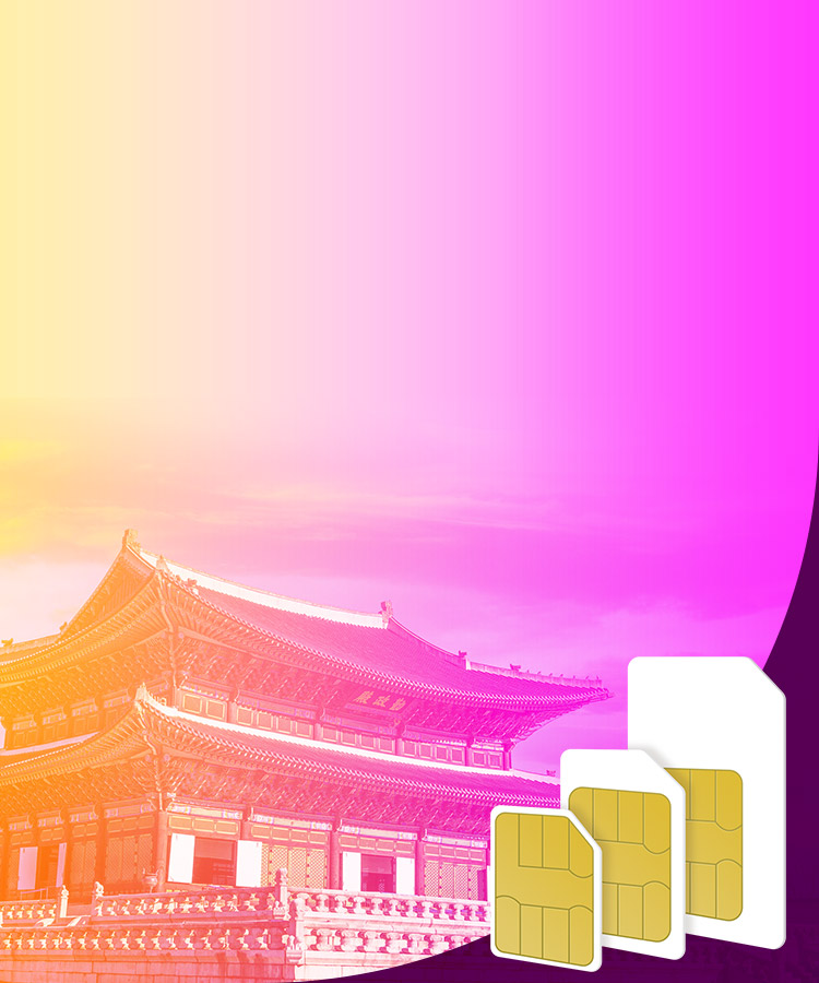 The Ultimate Guide to Korea eSIM/WiFi/SIM Card