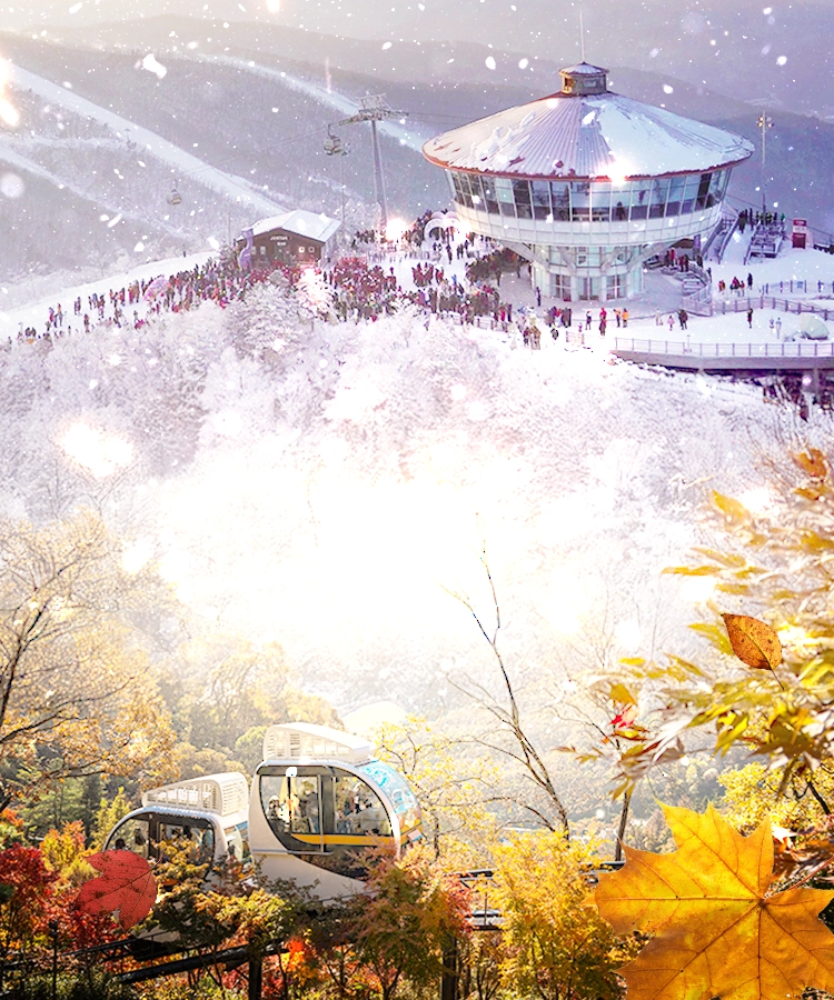 2025 Korea Fall Foliage & Winter Ski Early Bird Sale
