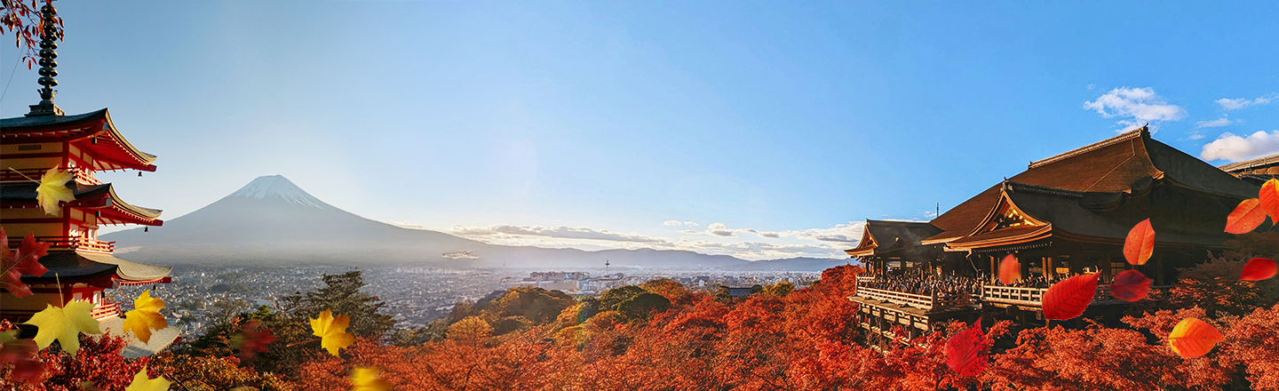 Best Fall Foliage Tours & Activities for Autumn in Japan