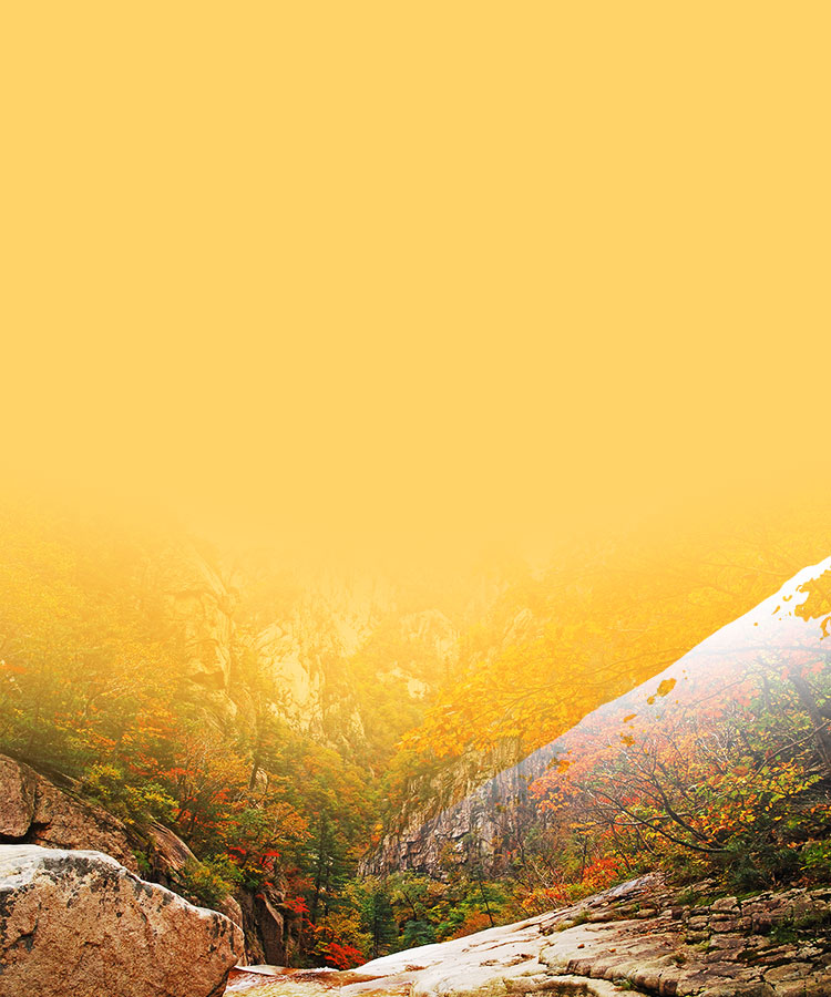 Fall into Korea's 2025 Autumn Foliage Tours
